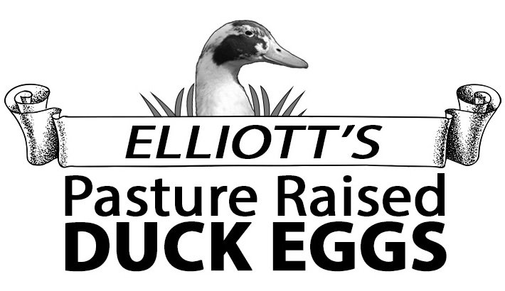 Pasture Raised Duck Eggs